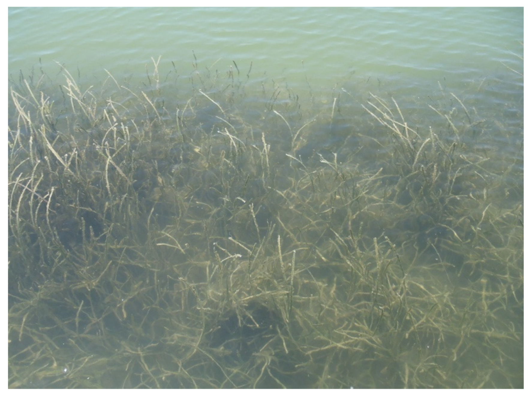 Hydrology 08 00111 g013