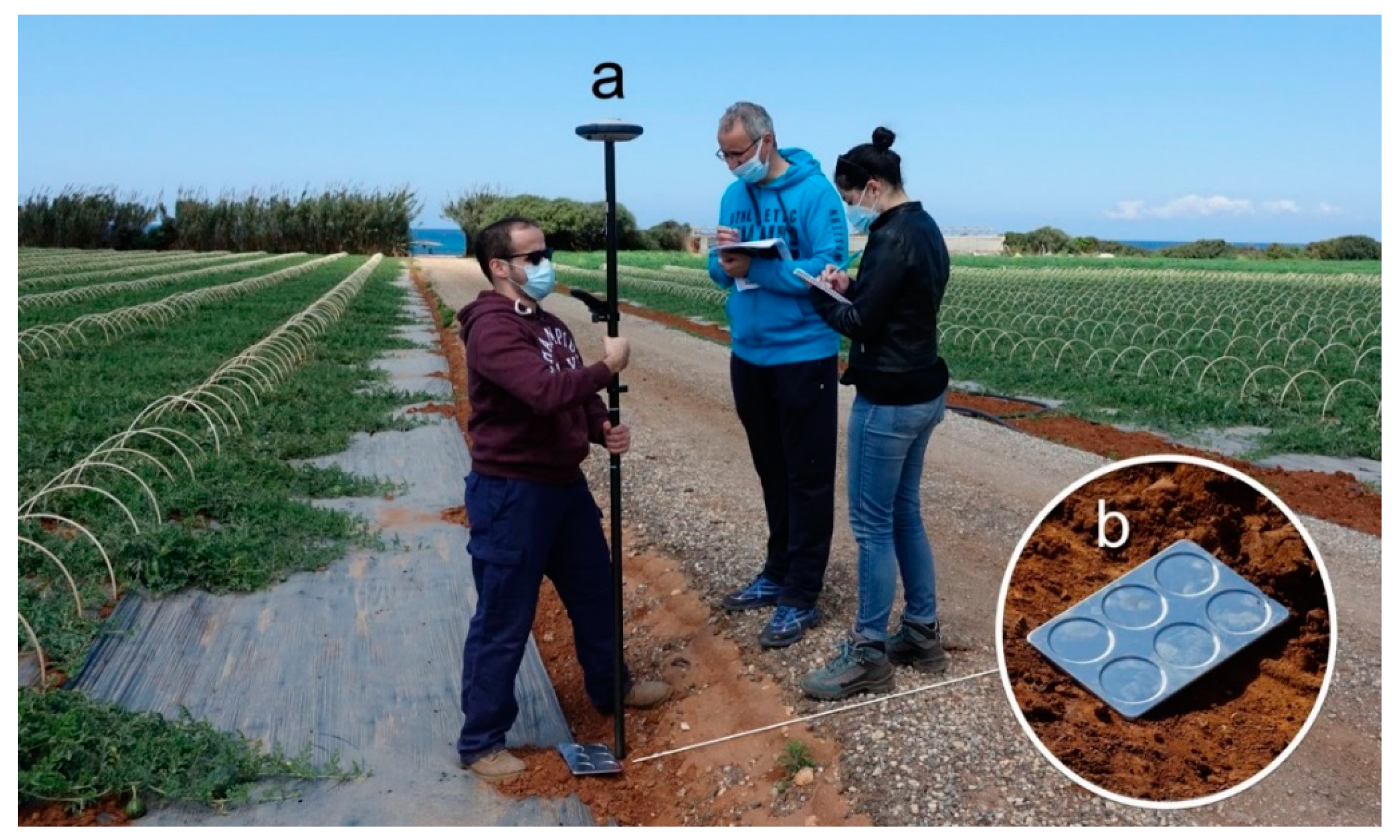 Hydrology 08 00131 g011