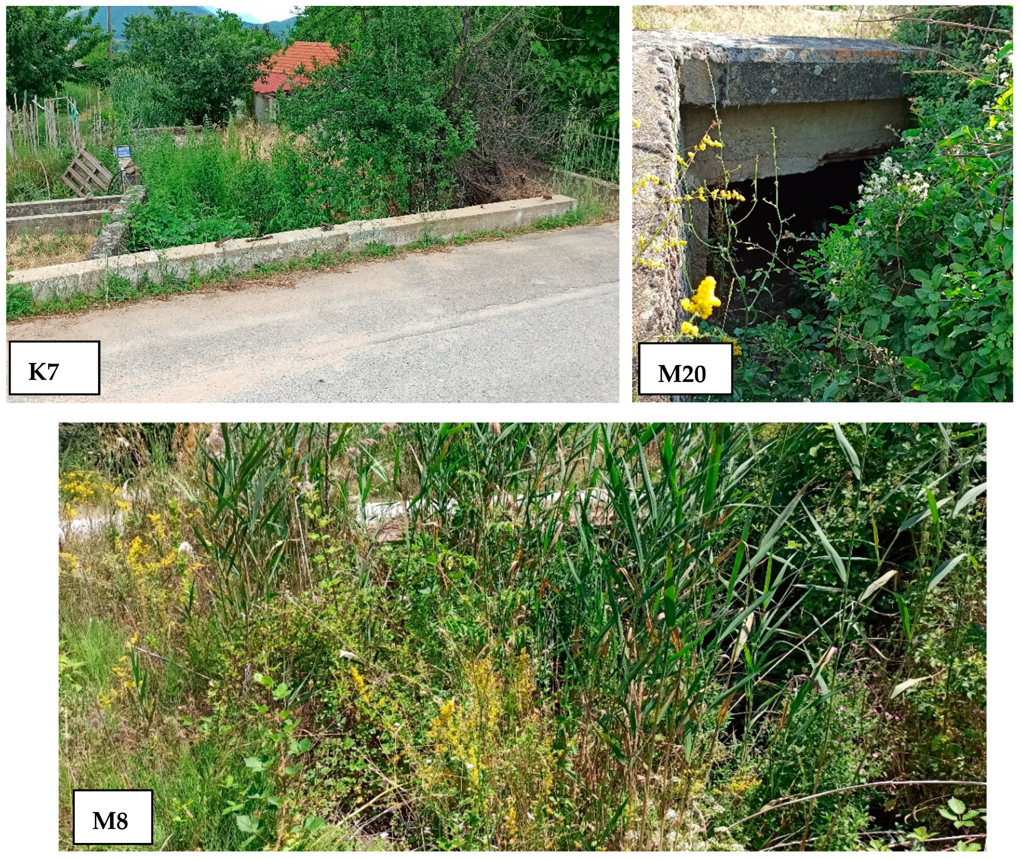 Hydrology 08 00170 g008c