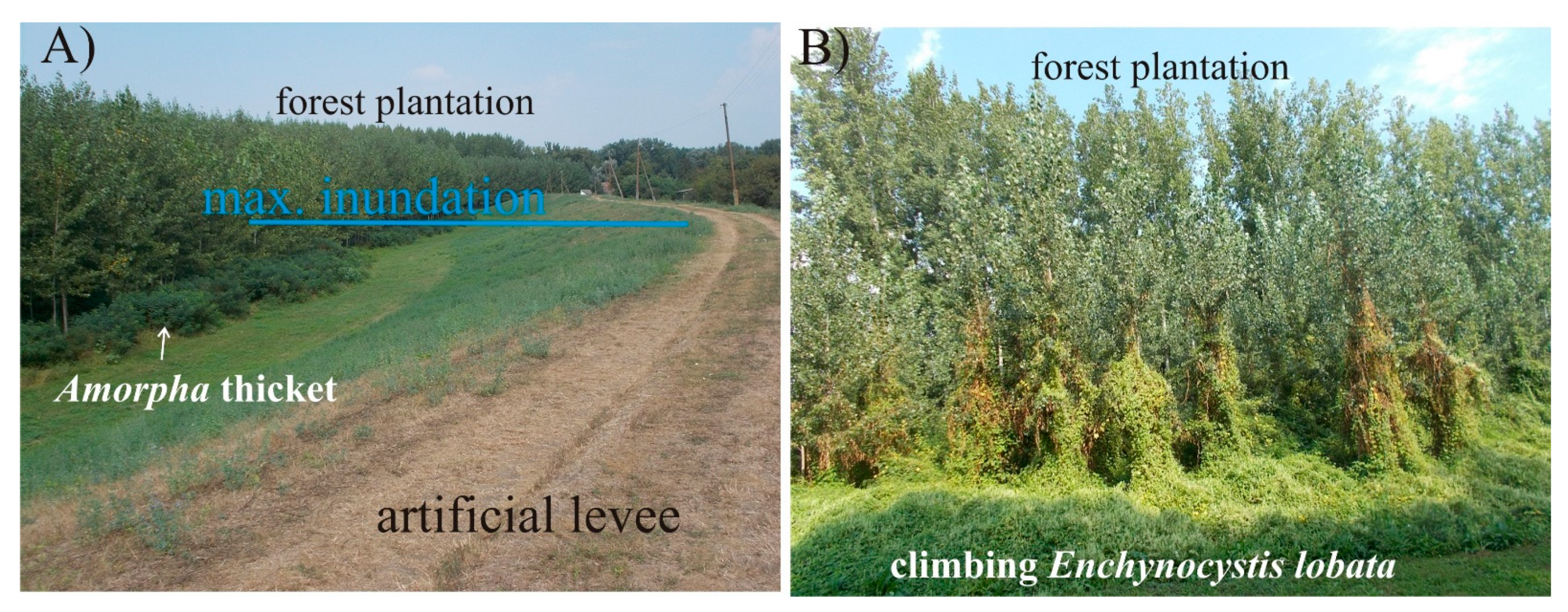 Hydrology 08 00176 g002 550