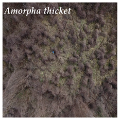 Hydrology 08 00176 i002