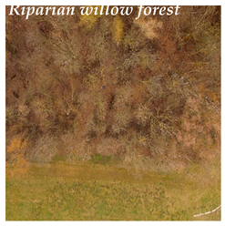 Hydrology 08 00176 i003