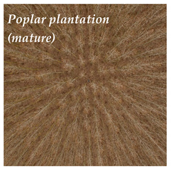 Hydrology 08 00176 i004