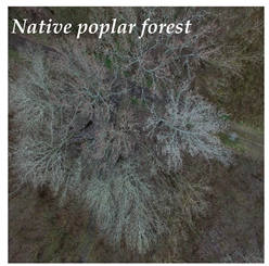 Hydrology 08 00176 i006