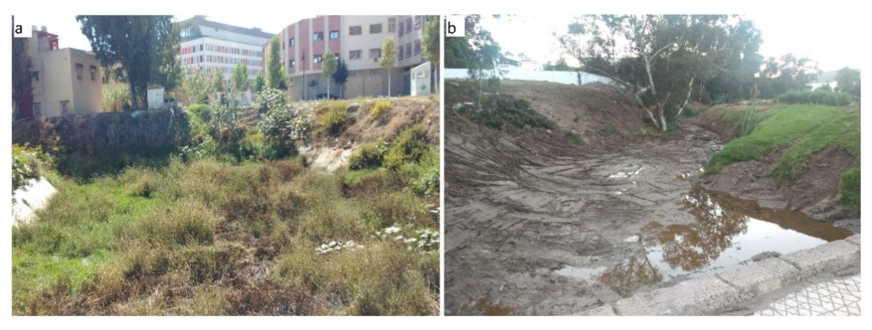 Hydrology 08 00182 g007