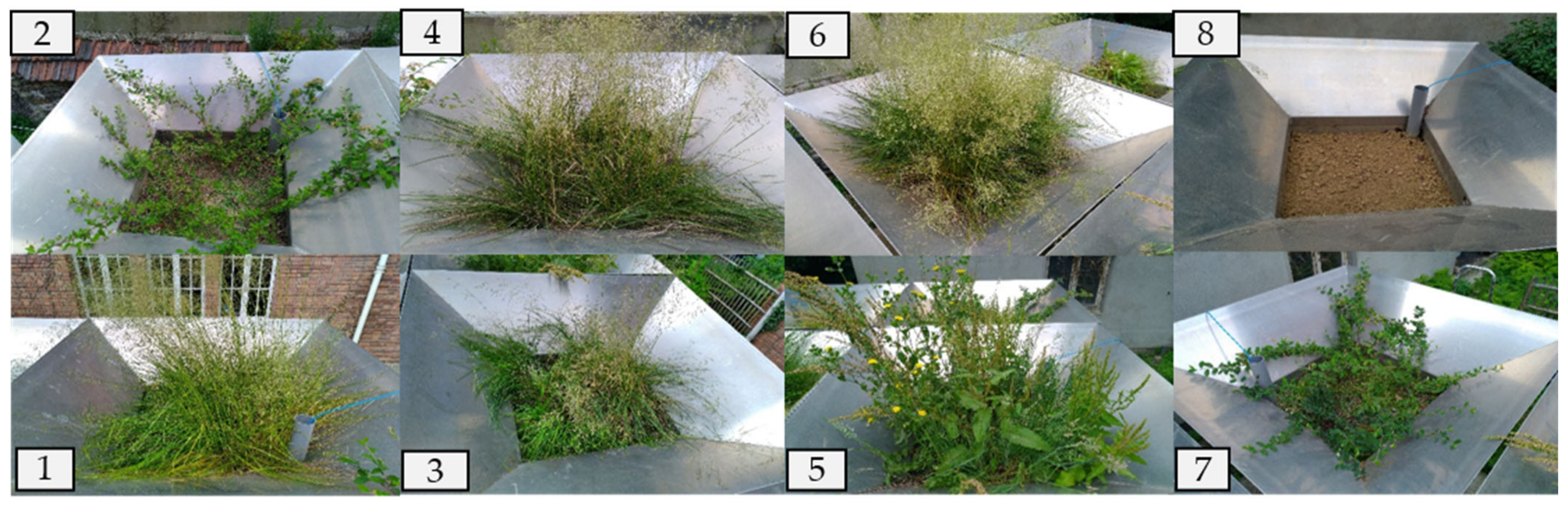 Hydrology 09 00042 g0a1