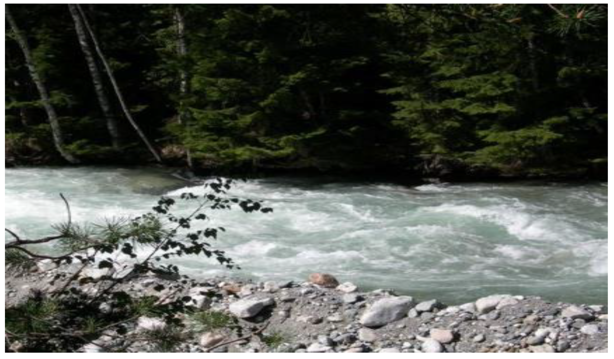 Hydrology 09 00055 g004