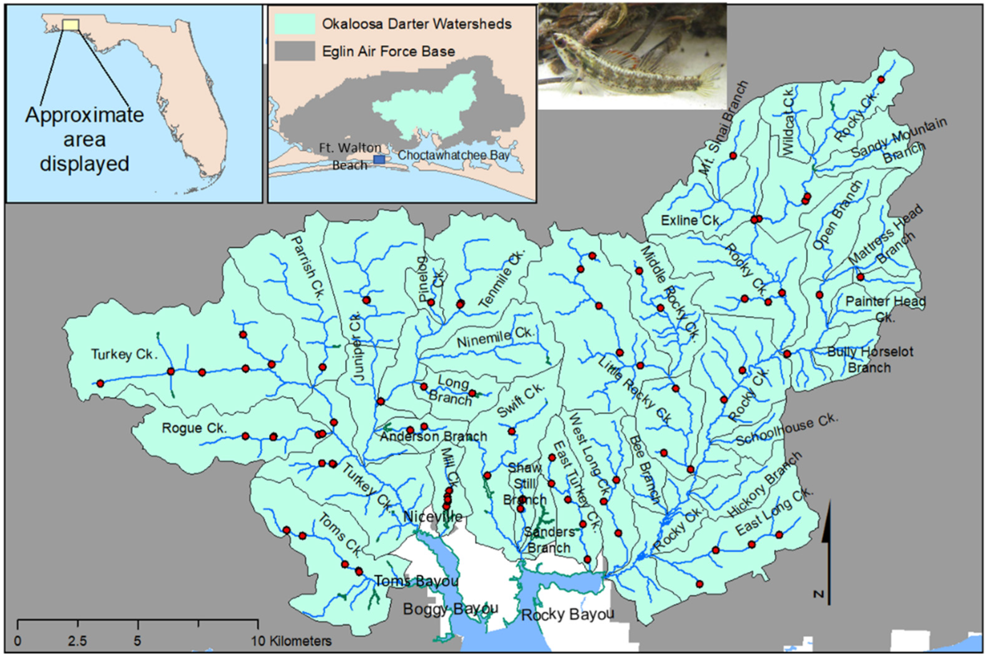 Hydrology 09 00069 g001
