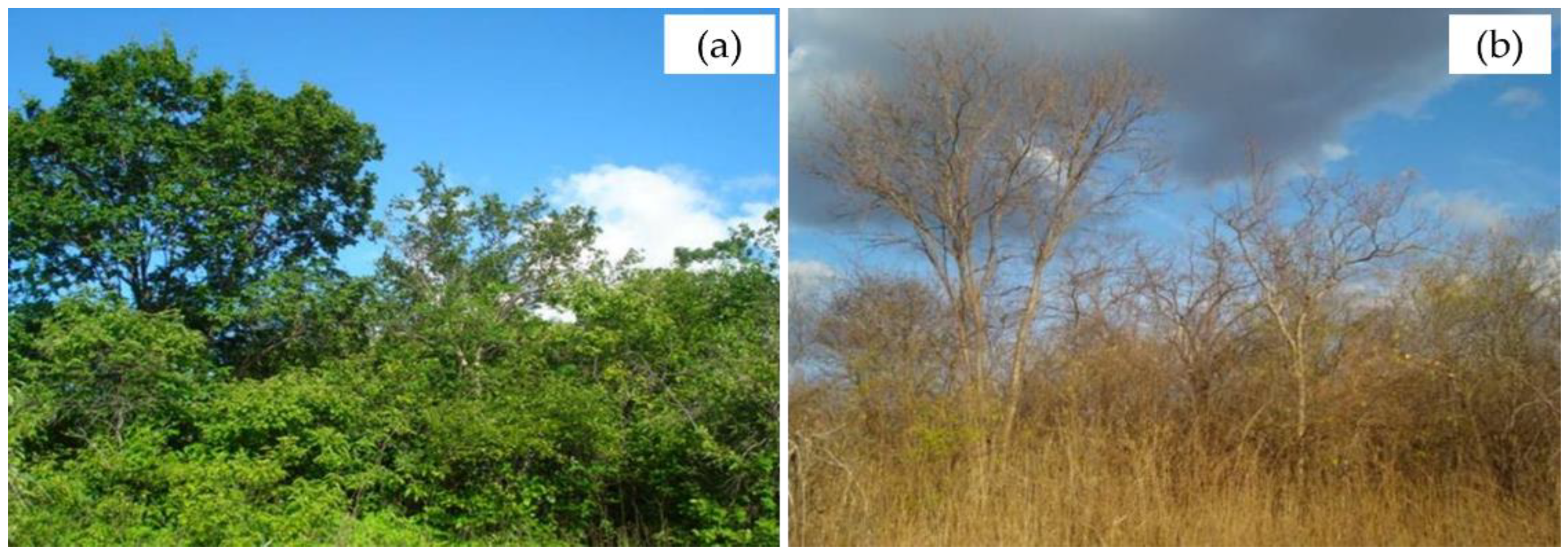 Hydrology 09 00102 g002