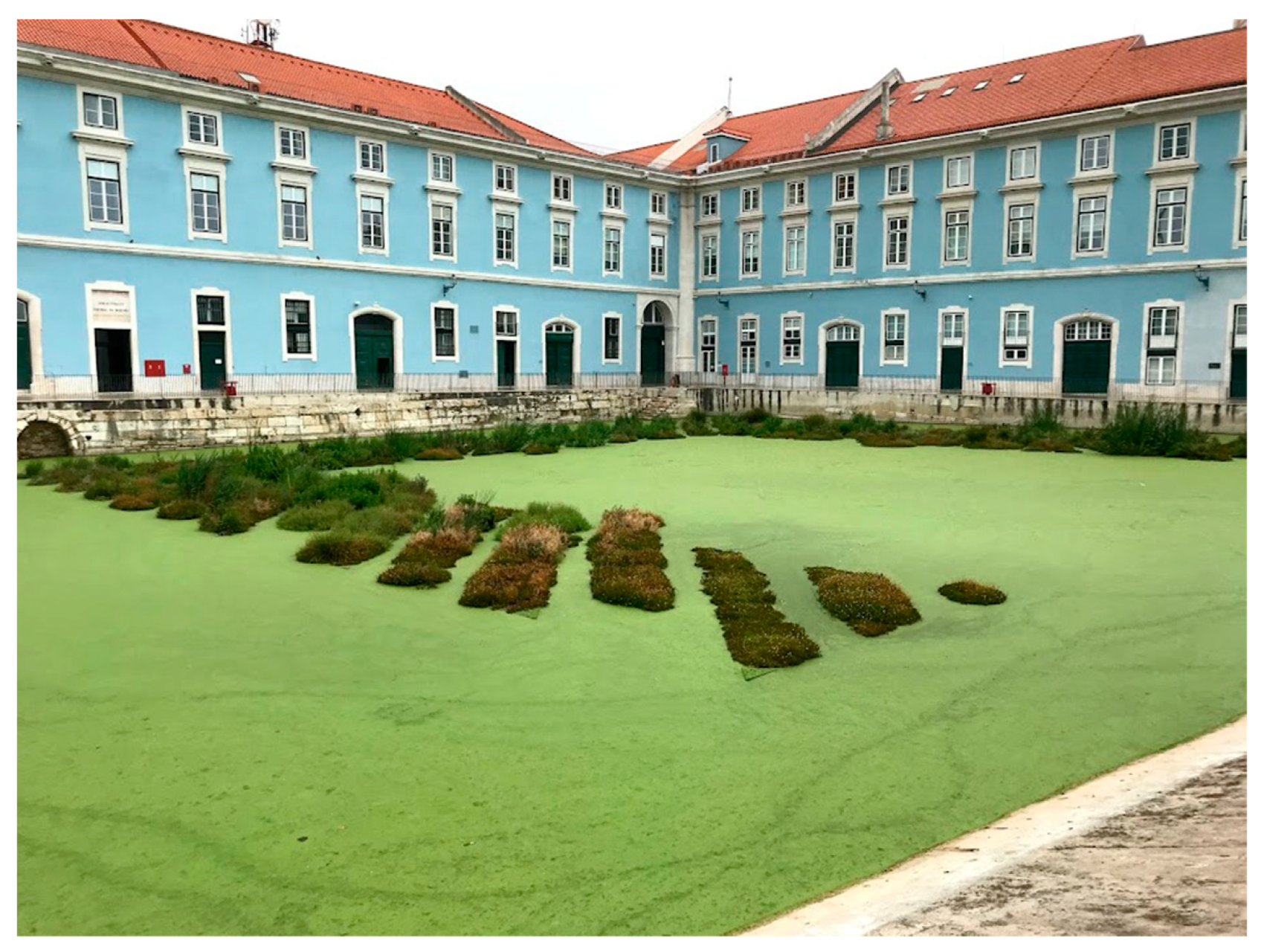 Hydrology 09 00114 g002 Hydrology 09 00114 g002