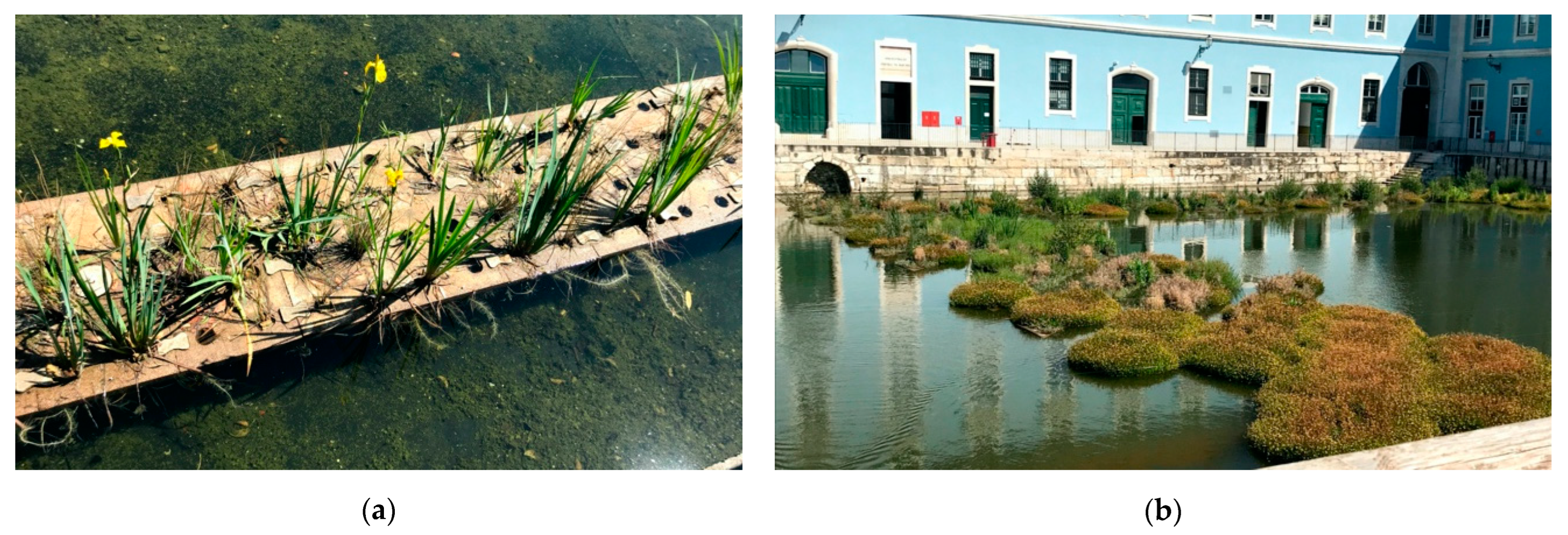 Hydrology 09 00114 g007 Hydrology 09 00114 g007