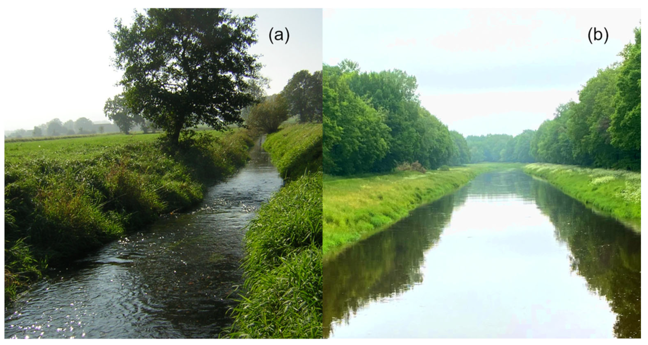 Hydrology 09 00120 g002 550