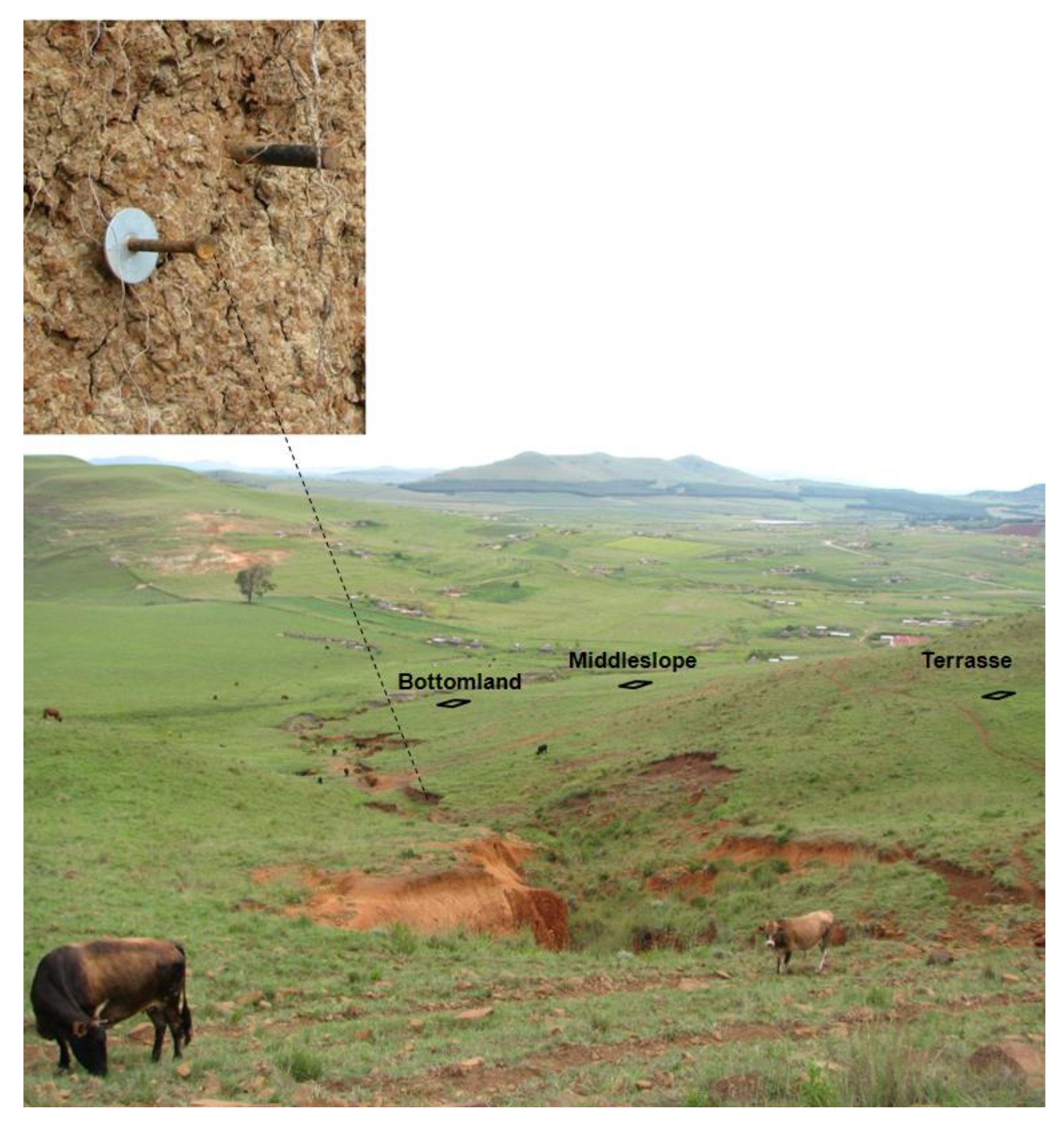 Hydrology 09 00121 g002 550