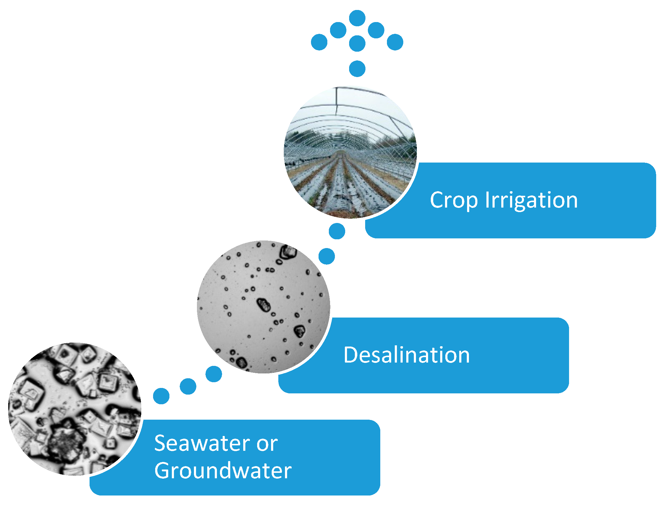 Hydrology 09 00128 g001
