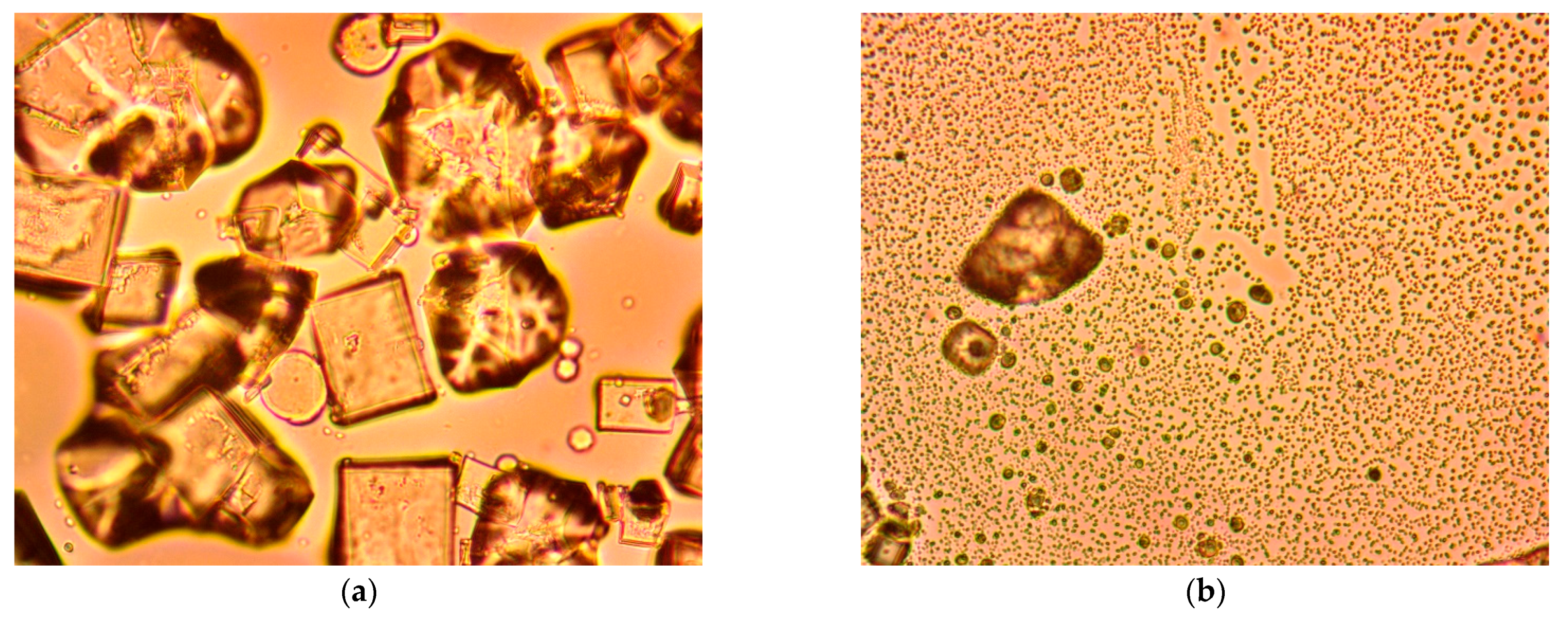 Hydrology 09 00128 g005