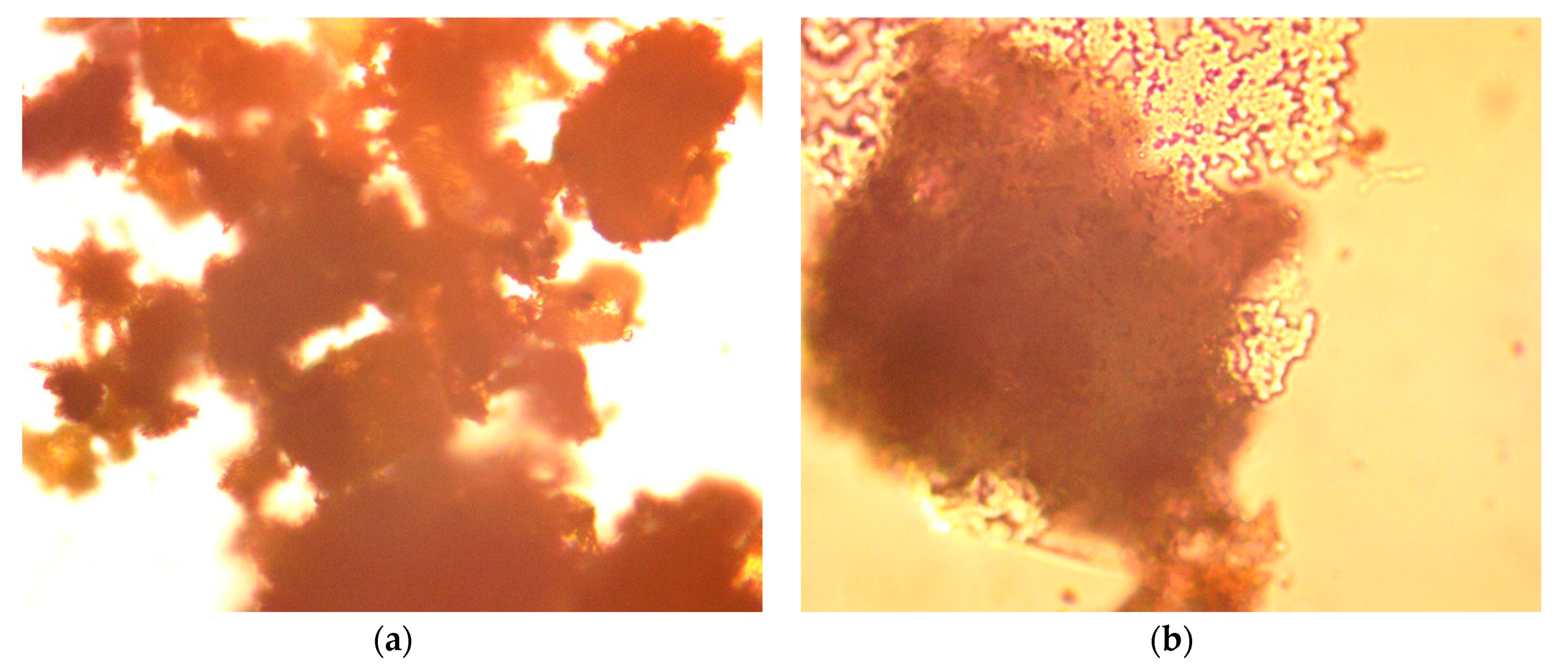 Hydrology 09 00128 g022