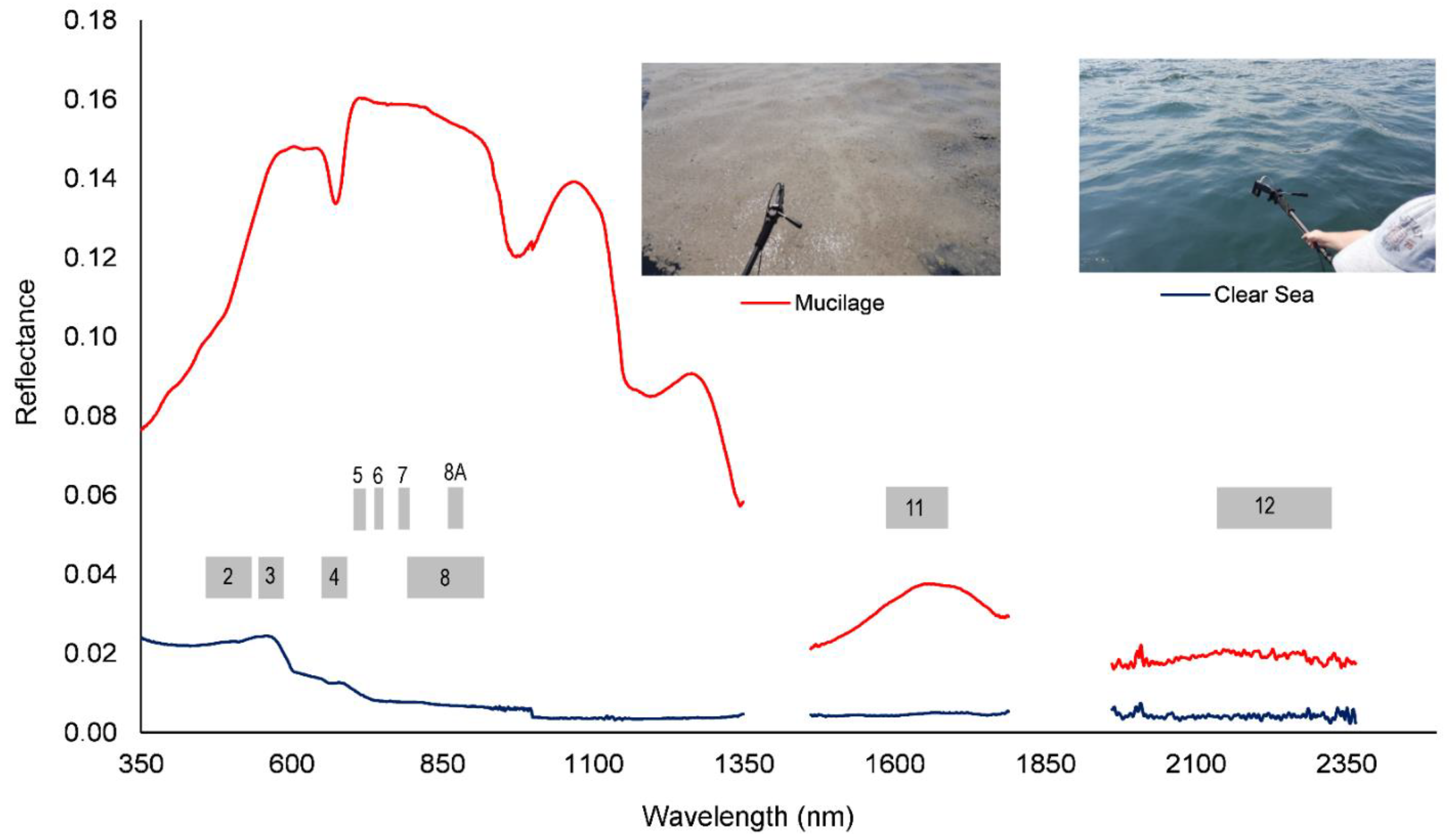 Hydrology 09 00135 g001 550