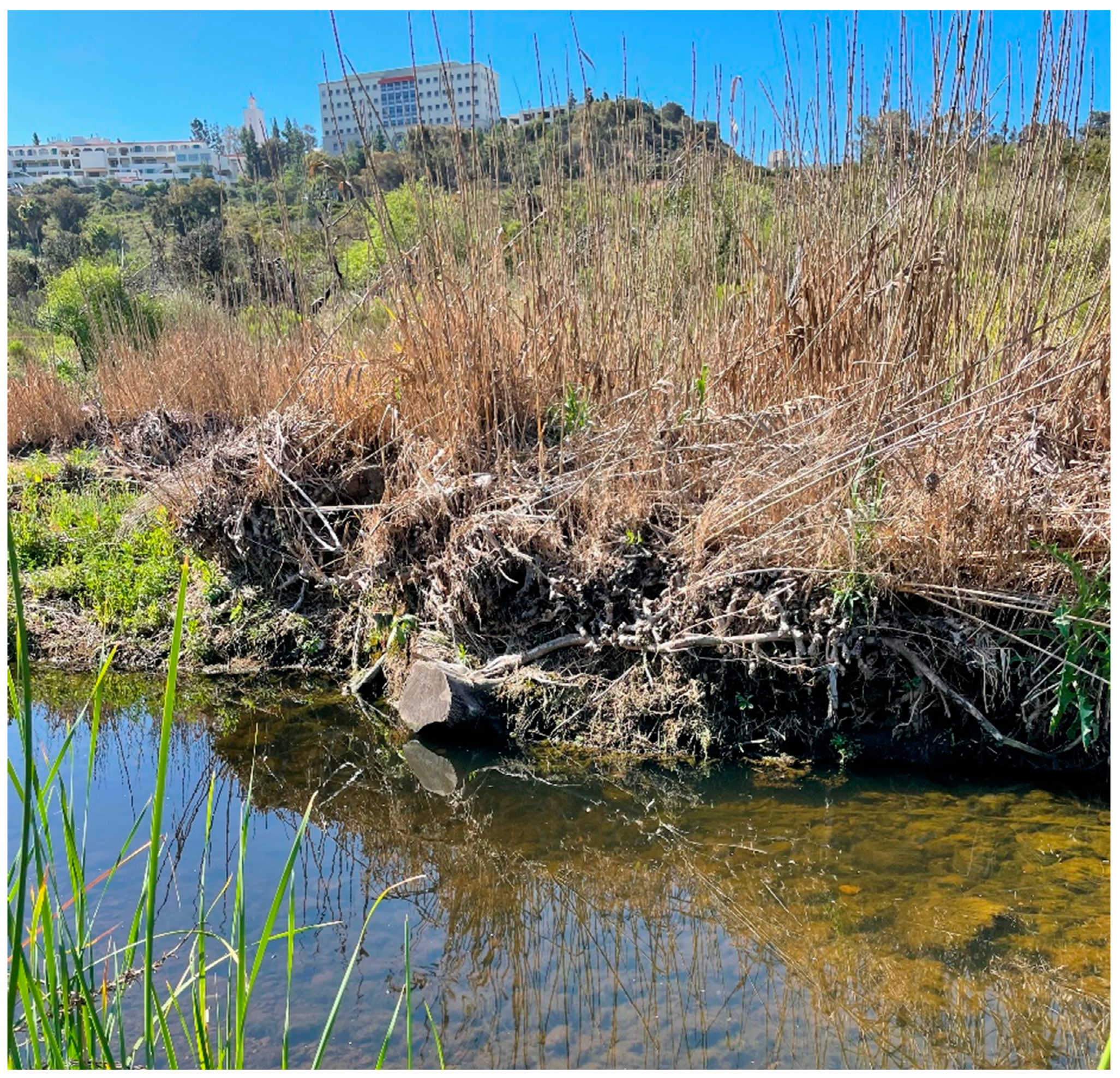 Hydrology 09 00170 g005 550