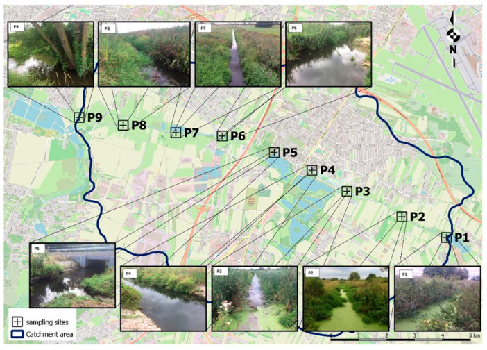 Hydrology 09 00200 g002