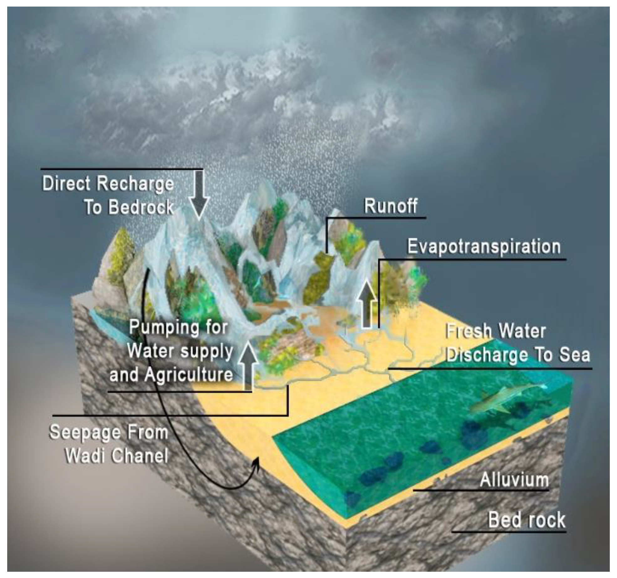 Hydrology 09 00211 g003