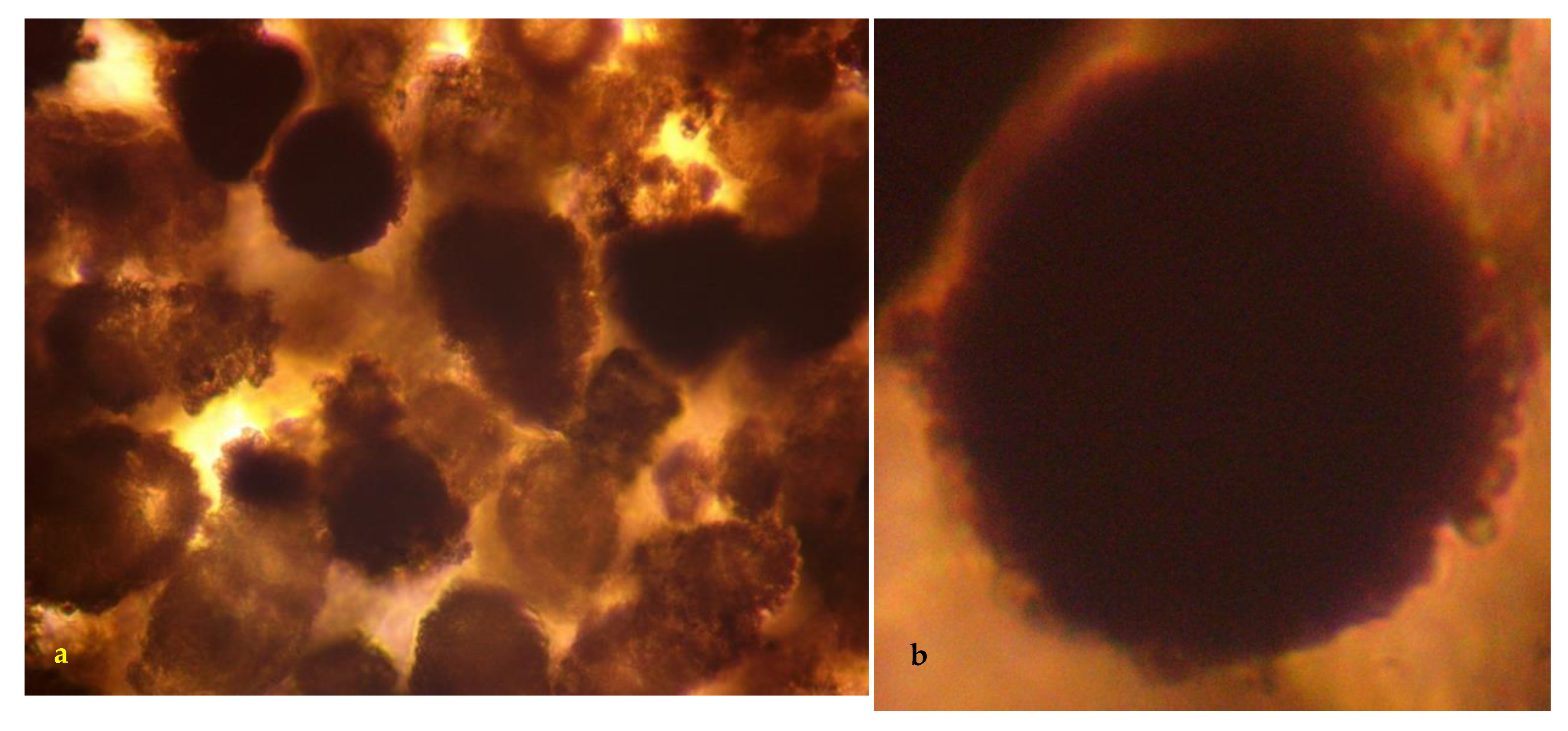 Hydrology 09 00219 g005 Hydrology 09 00219 g005
