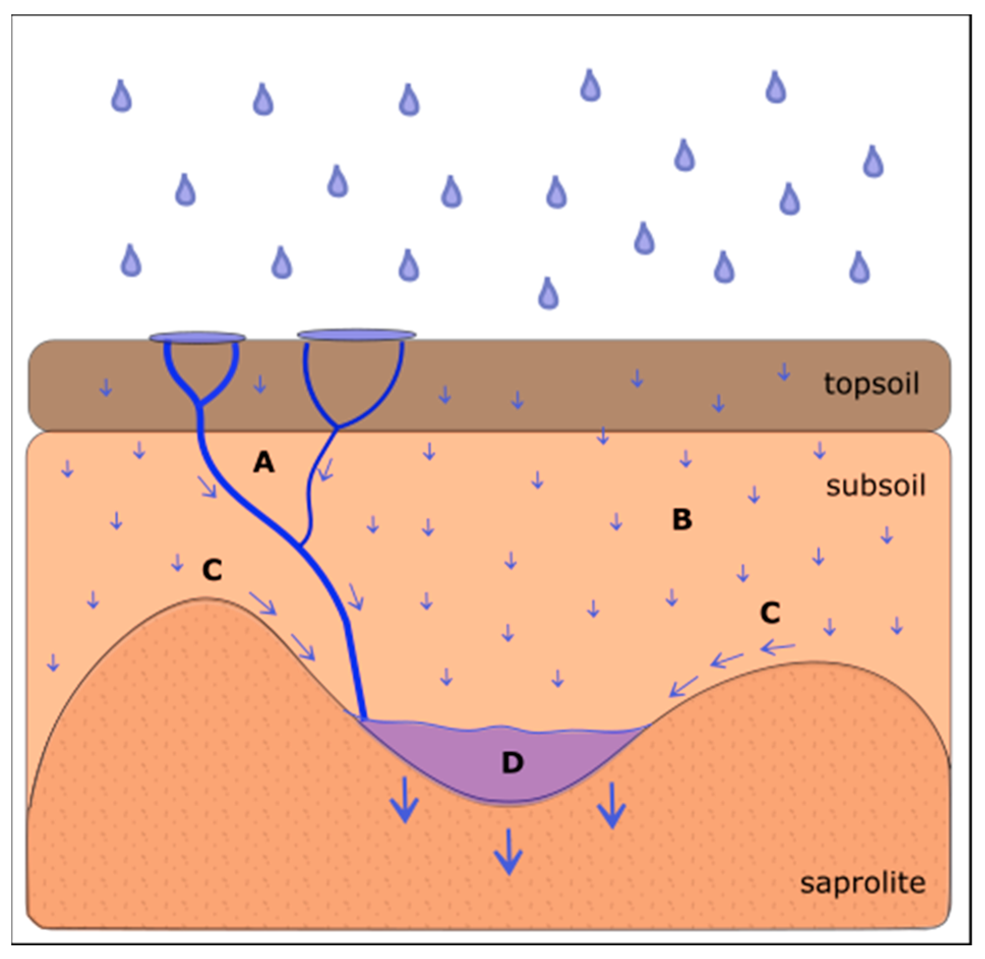 Hydrology 09 00229 g004