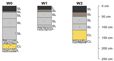 Hydrology 09 00229 i003