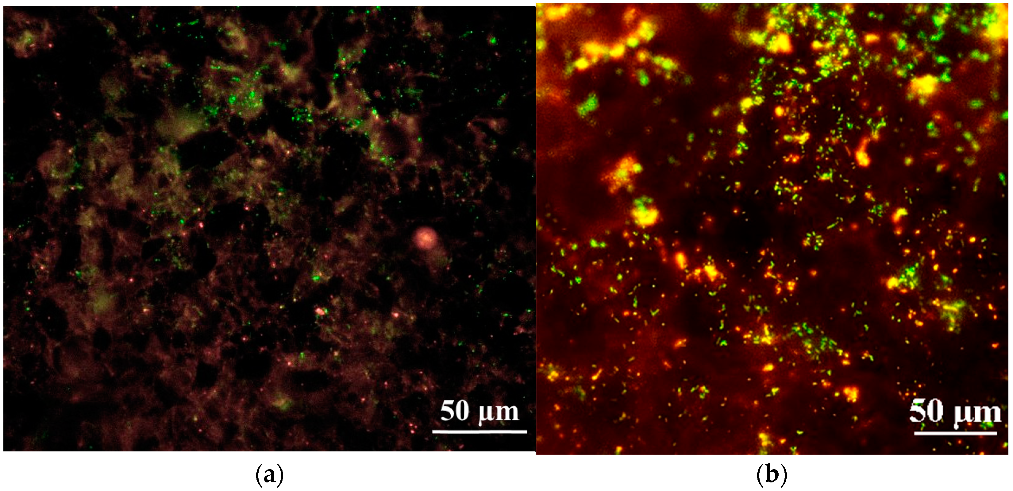 Hydrology 10 00004 g001a Hydrology 10 00004 g001a