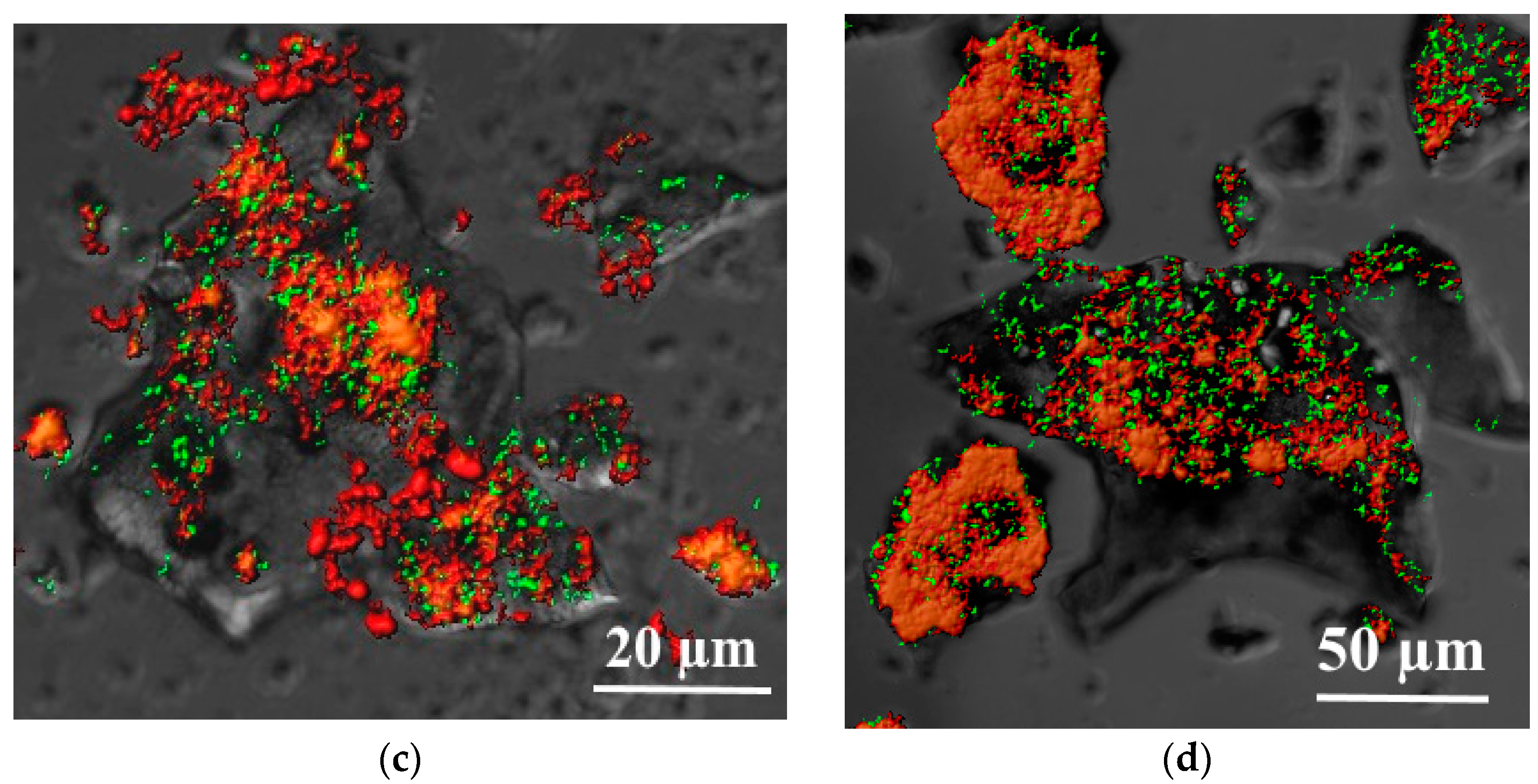 Hydrology 10 00004 g001b Hydrology 10 00004 g001b