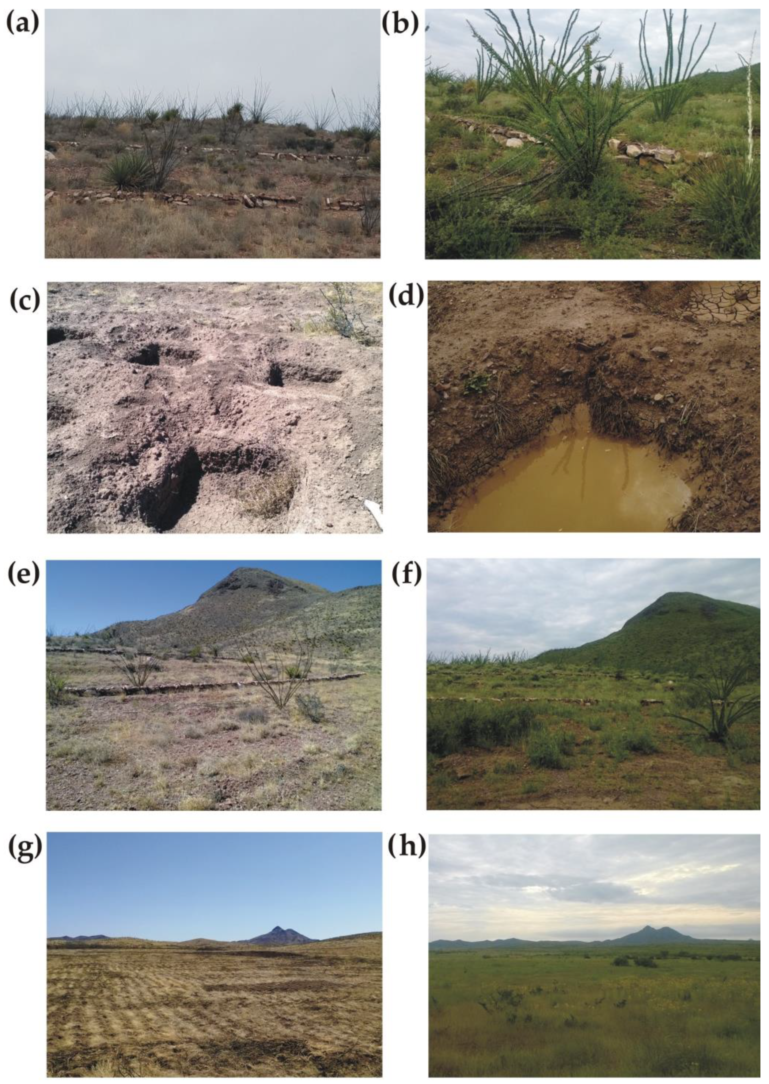 Hydrology 10 00041 g0a2