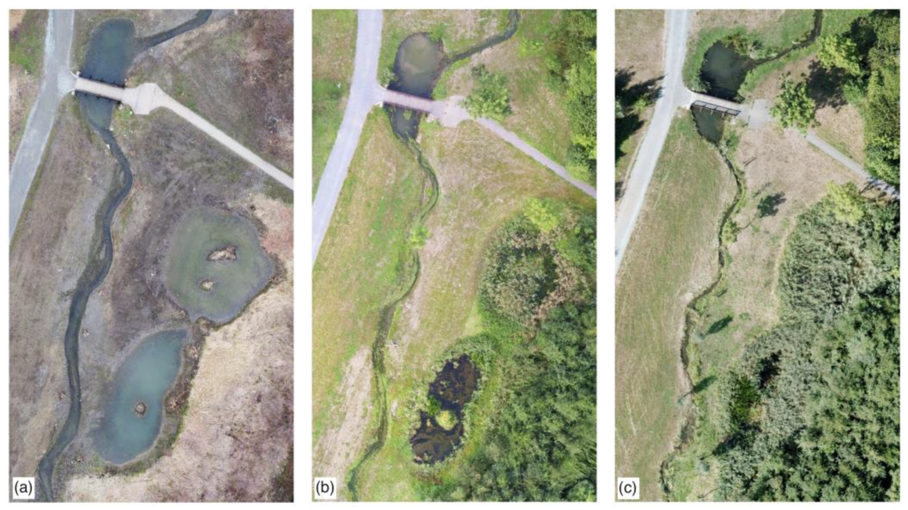 Hydrology 10 00048 g008 550