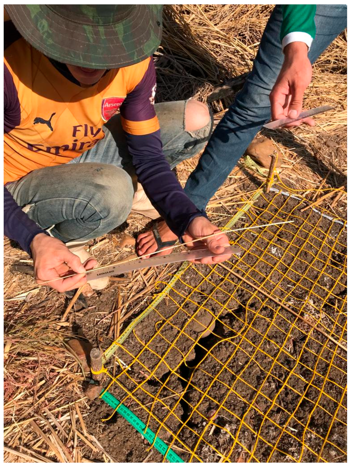 Hydrology 10 00083 g004