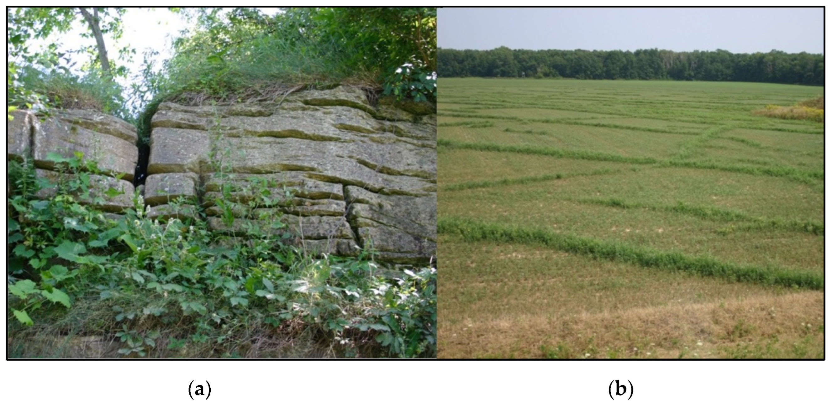 Hydrology 10 00133 g002