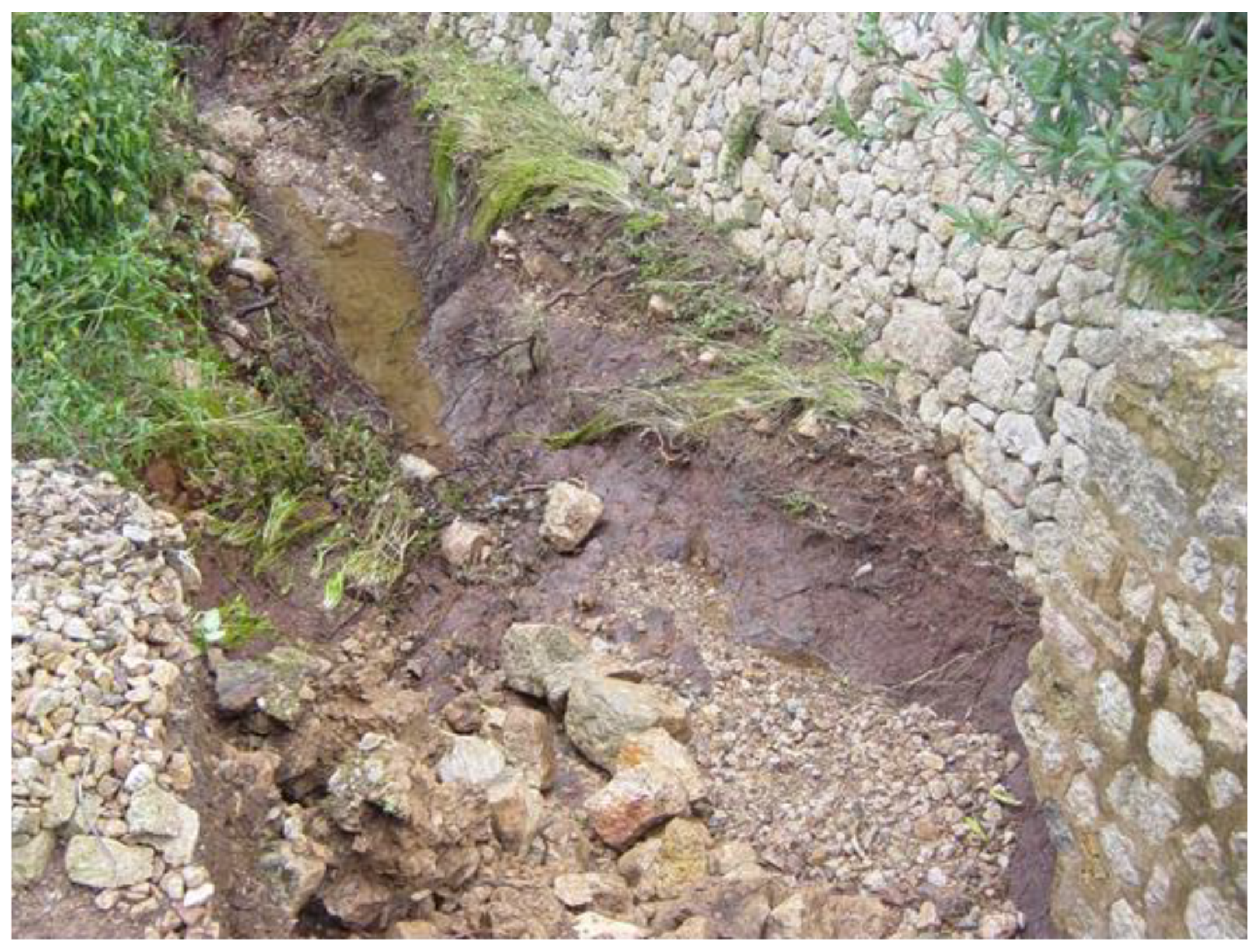 Hydrology 10 00152 g010