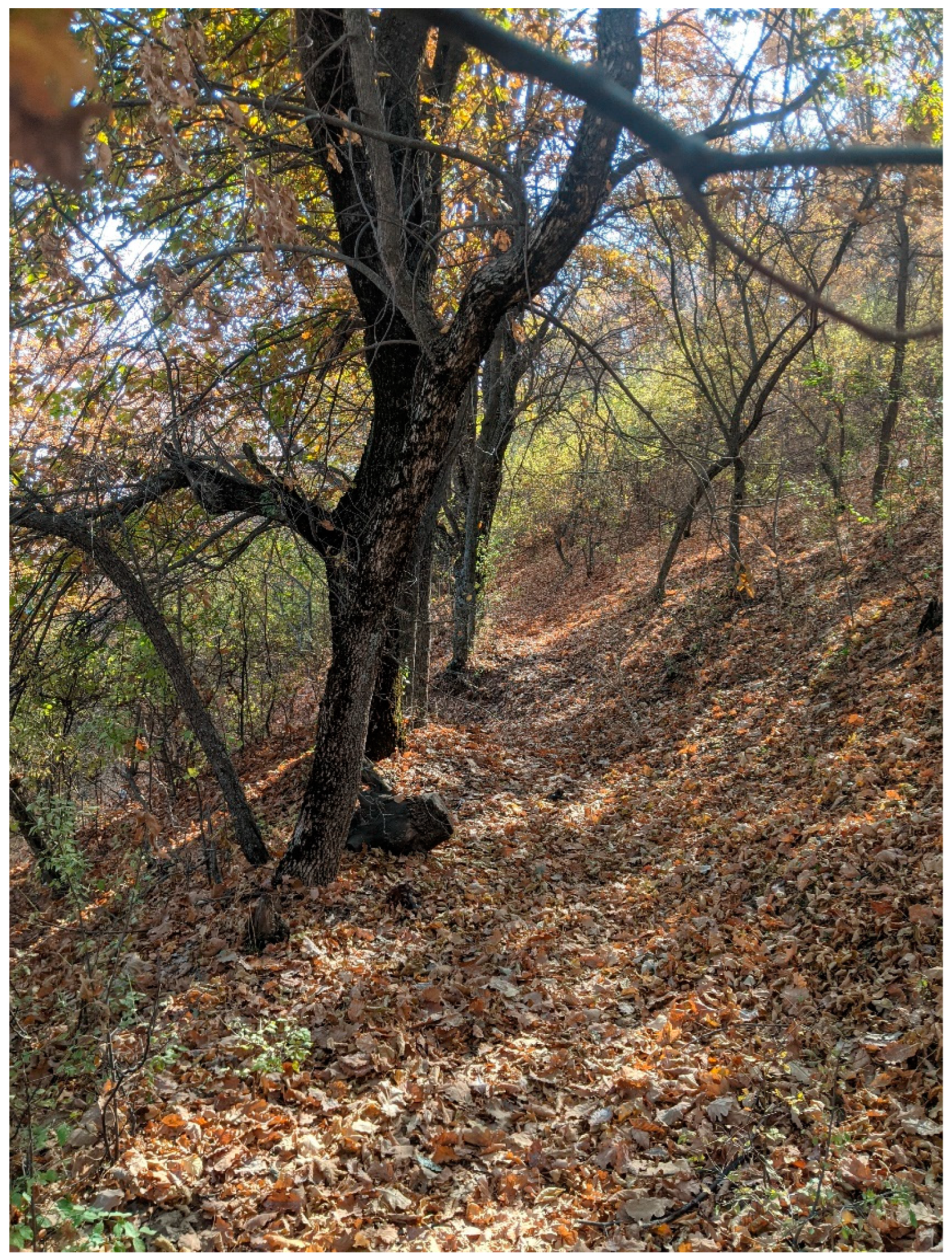 Hydrology 10 00161 g002 Hydrology 10 00161 g002