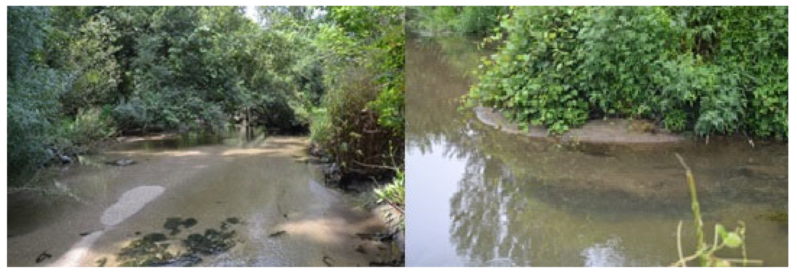 Hydrology 10 00163 g008 Hydrology 10 00163 g008