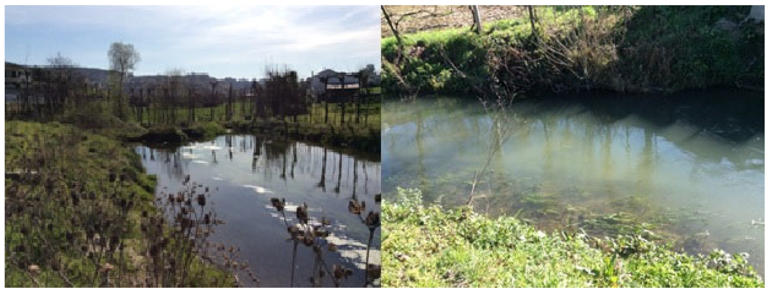 Hydrology 10 00163 g009 Hydrology 10 00163 g009