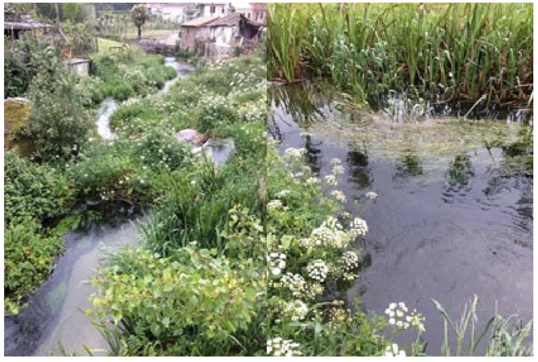 Hydrology 10 00163 g010 Hydrology 10 00163 g010