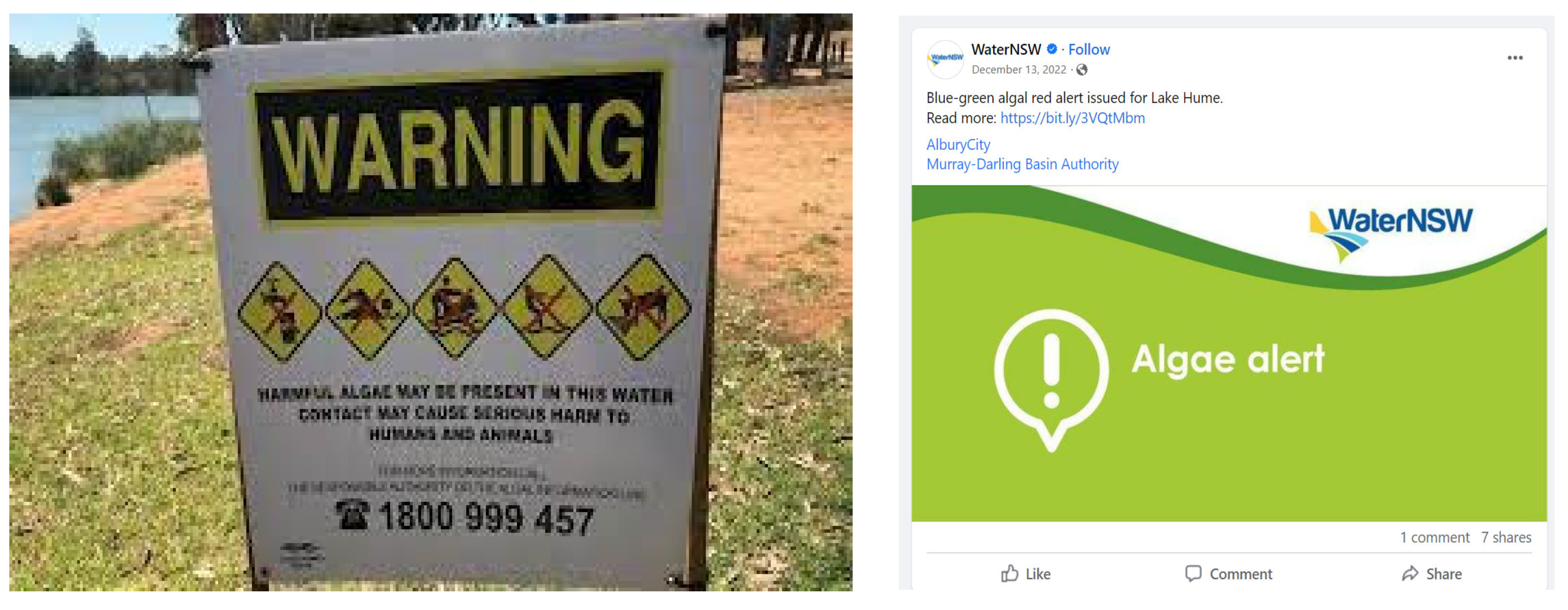 Hydrology 10 00185 g002