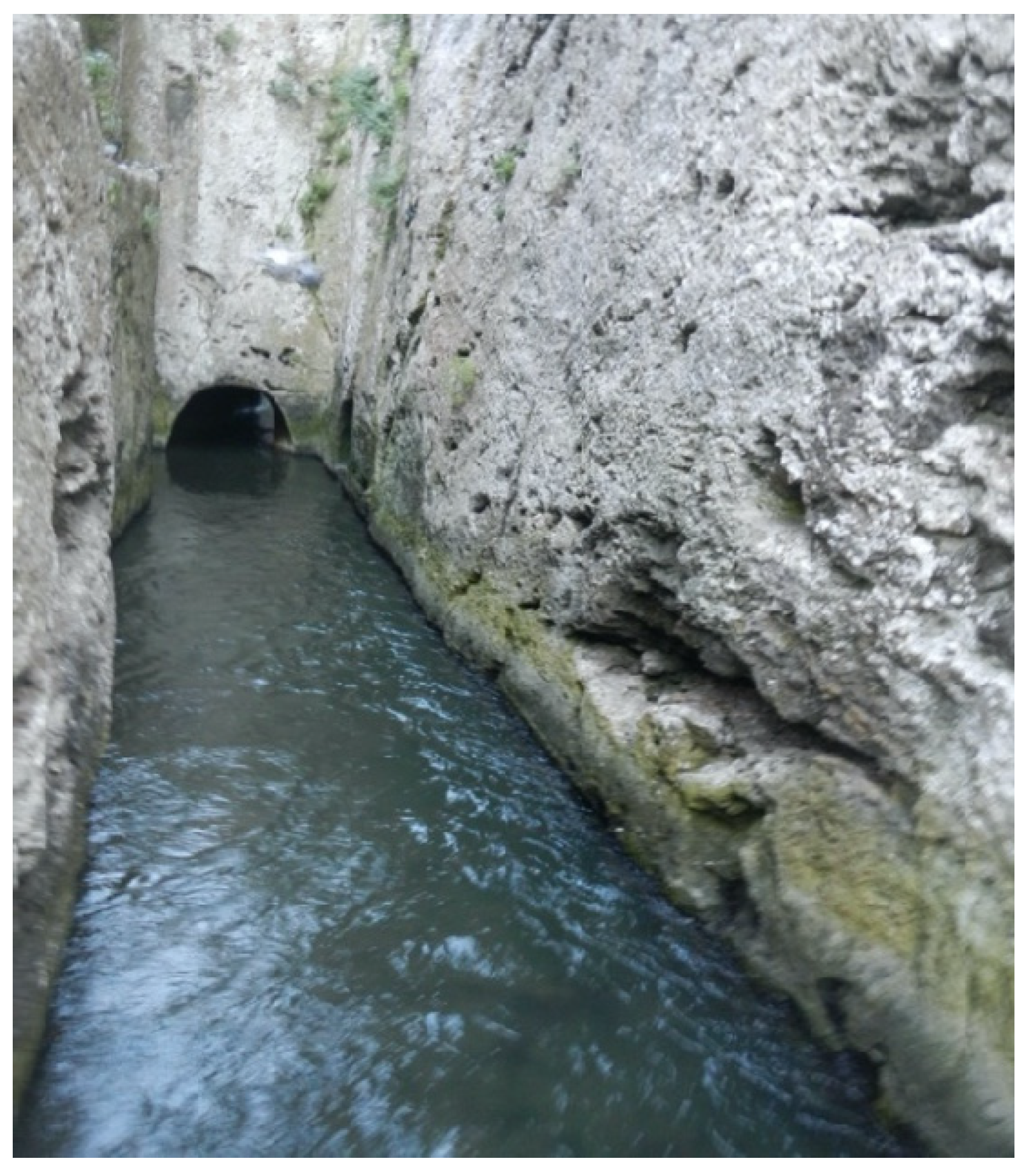 Hydrology 10 00190 g019