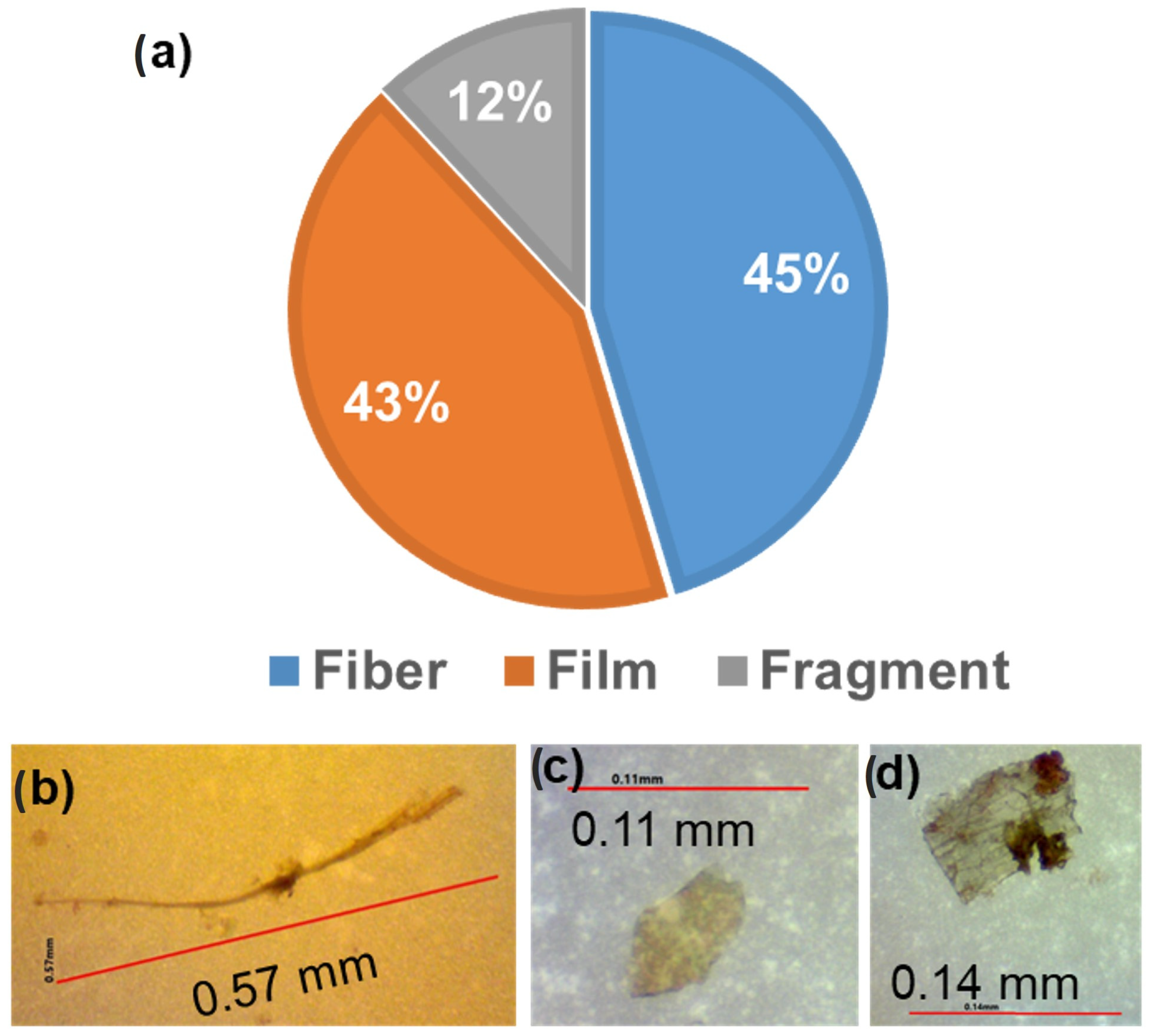 Hydrology 11 00004 g003
