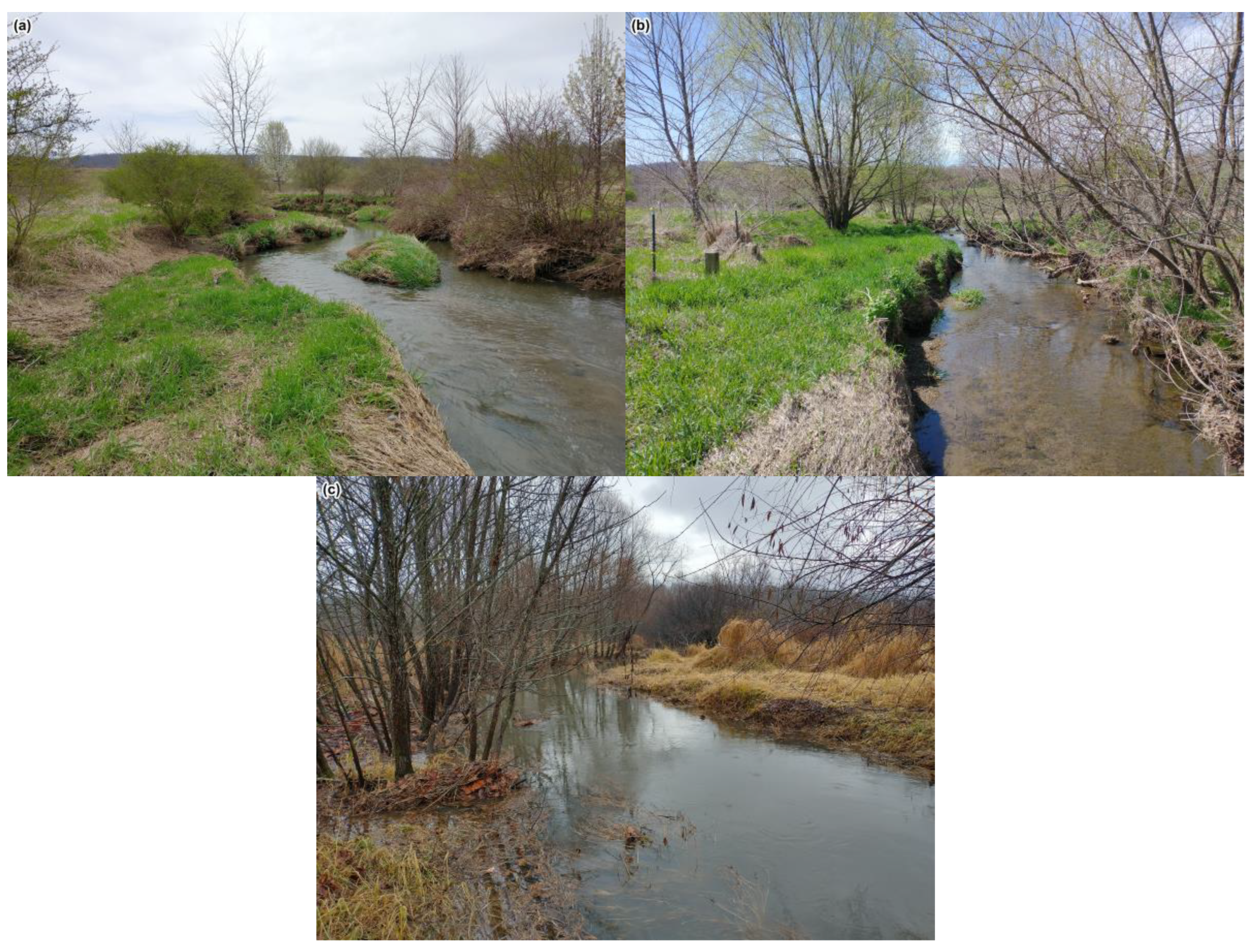 Hydrology 11 00054 g002