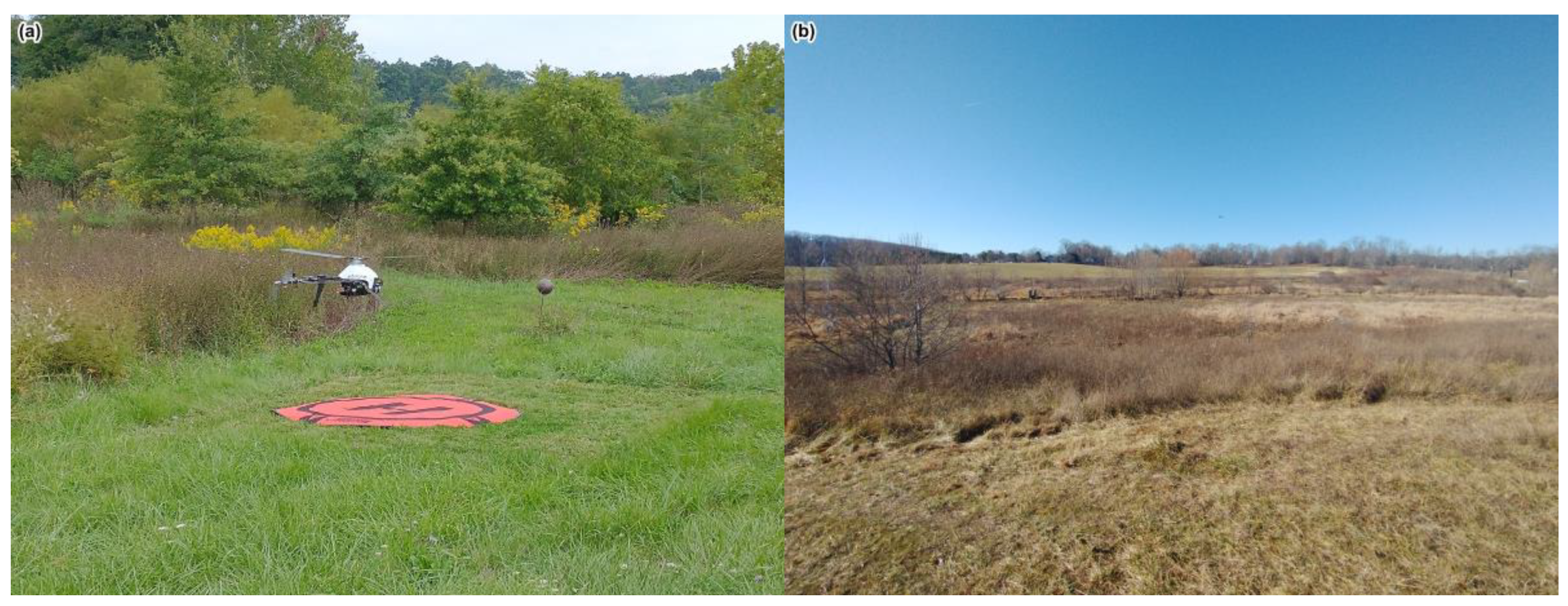 Hydrology 11 00054 g003