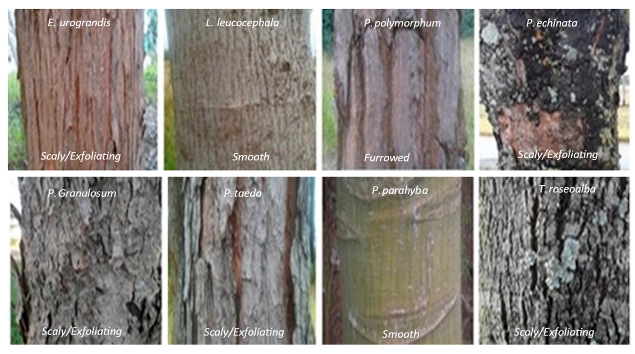 Hydrology 11 00056 g001