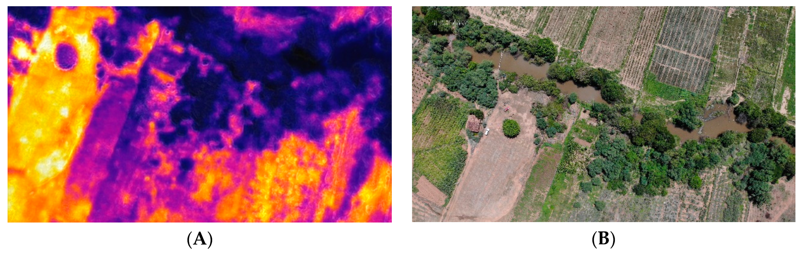 Hydrology 11 00065 g010