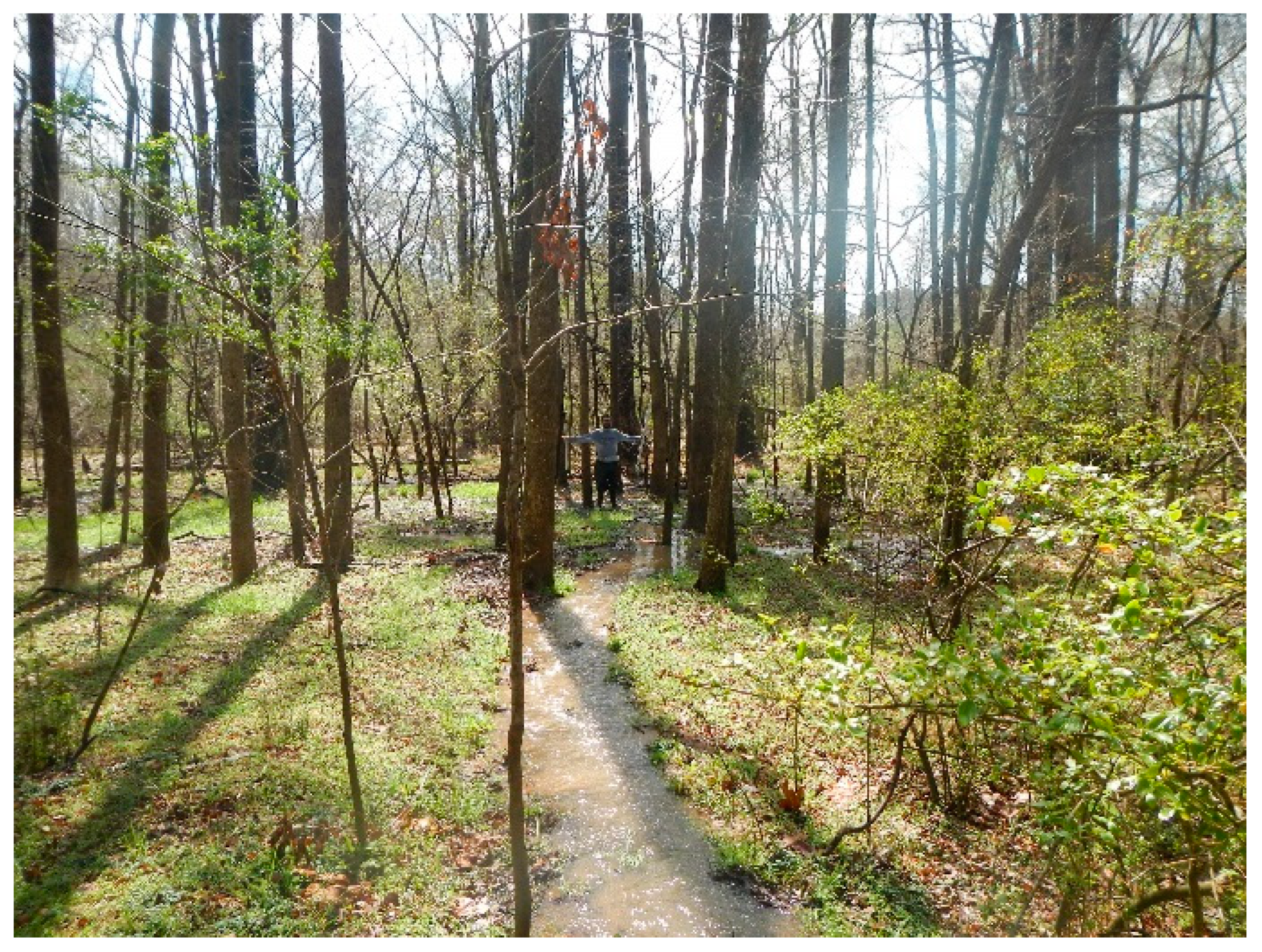 Hydrology 11 00074 g002