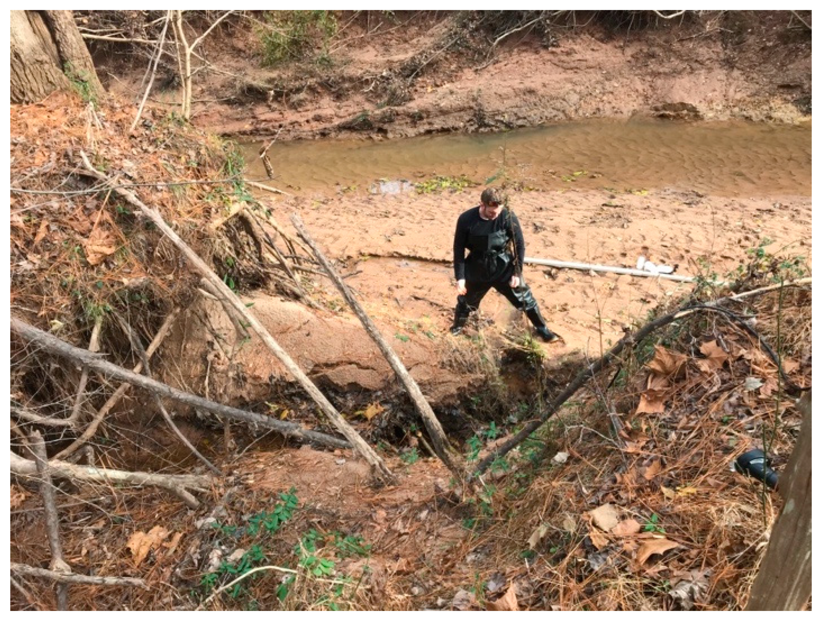 Hydrology 11 00074 g003