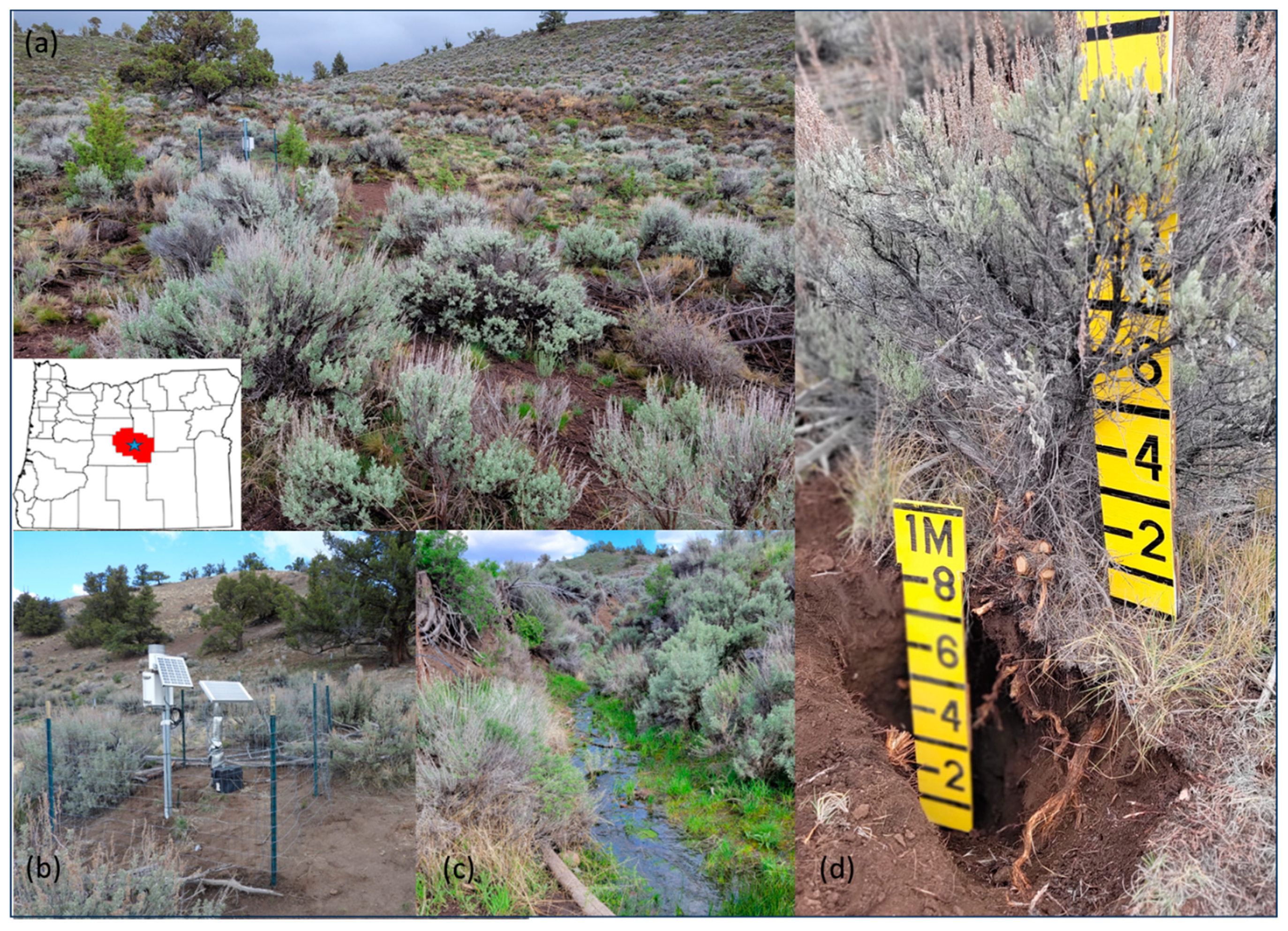 Hydrology 11 00085 g001