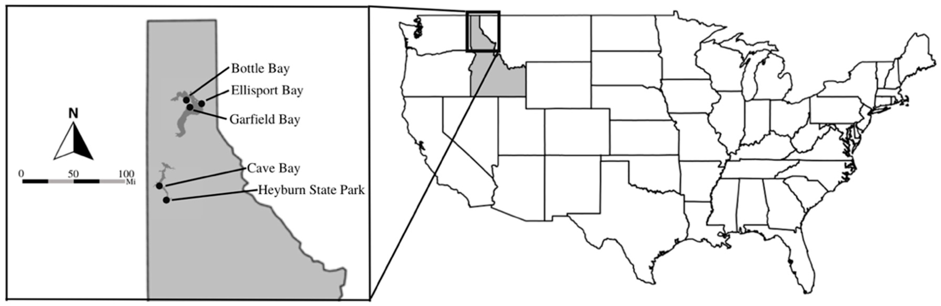 Hydrology 11 00087 g001