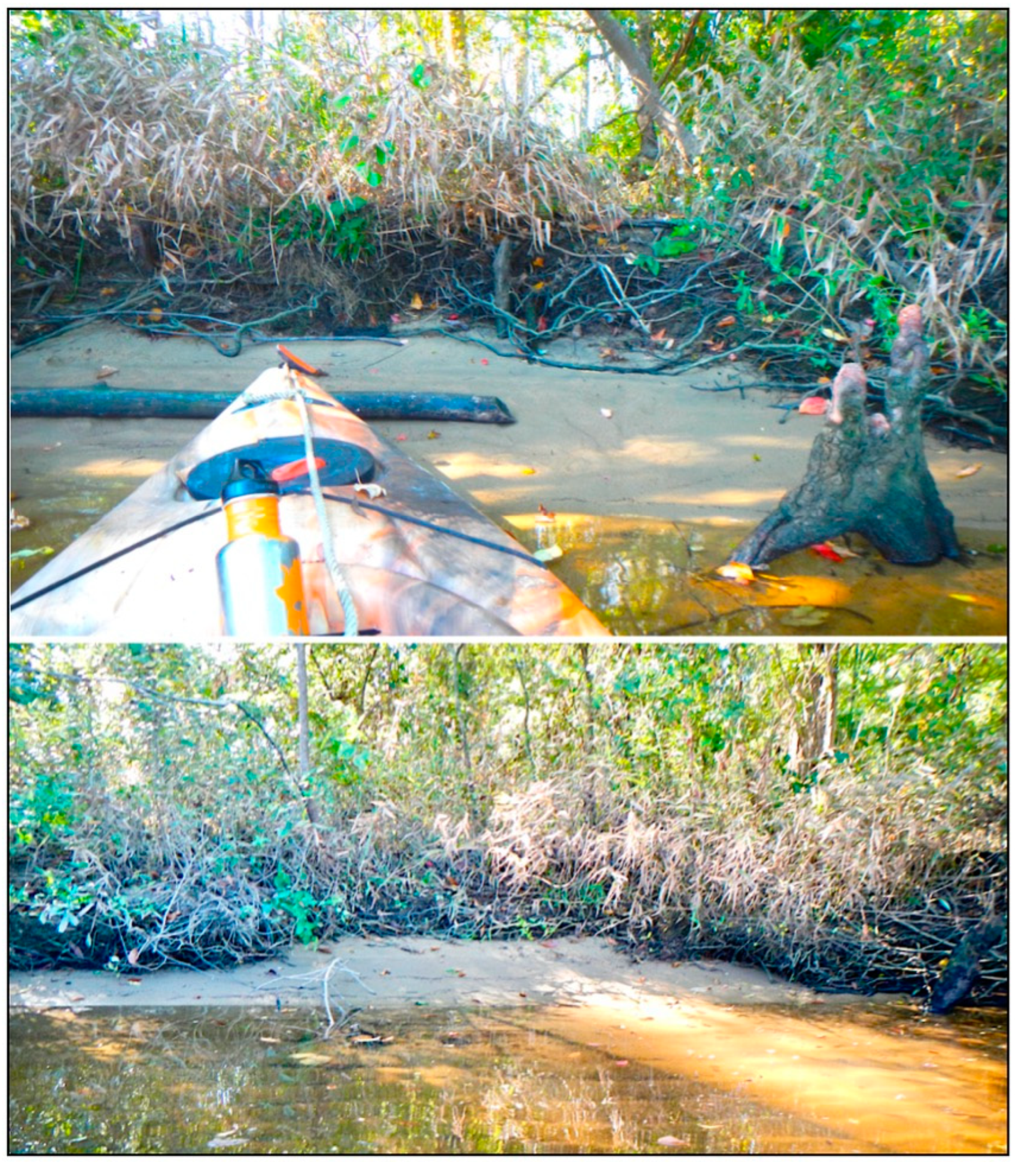 Hydrology 11 00124 g009 Hydrology 11 00124 g009